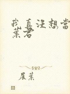 我真没想当皇上叶君