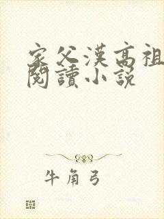 家父汉高祖全文阅读小说