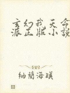 玄幻我天命大反派正版小说天命反派