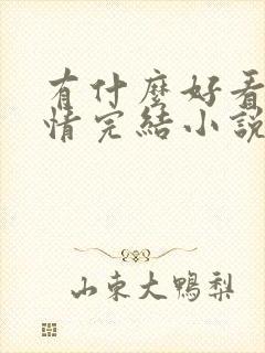 有什么好看的言情完结小说