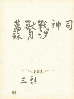 万兽战神司空靖苏月汐