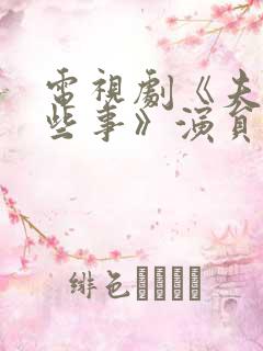 电视剧《夫妻那些事》演员