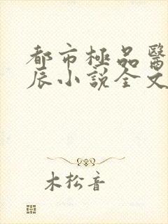 都市极品医神叶辰小说全文阅读