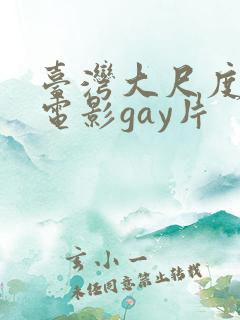 台湾大尺度同志电影gay片