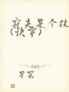 宠夫是个技术活(快穿)