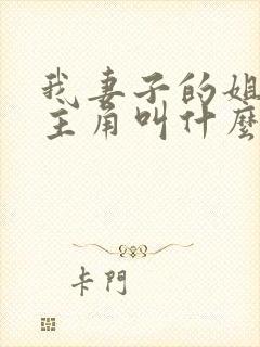 我妻子的姐姐女主角叫什么