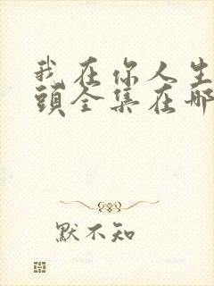 我在你人生的尽头全集在哪看