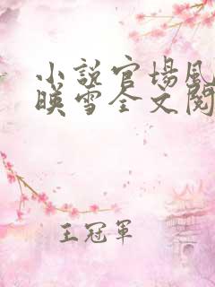 小说官场风月江映雪全文阅读