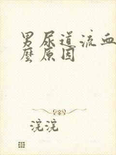 男尿道流血是什么原因