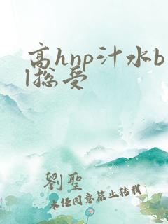 高hnp汁水bl总受