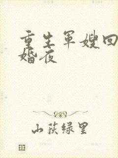 重生军嫂回到新婚夜