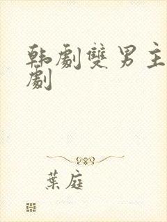 韩剧双男主推荐剧