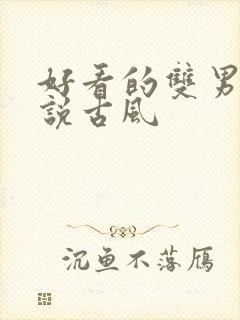 好看的双男主小说古风