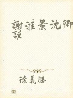 谢淮景沈卿歌小说