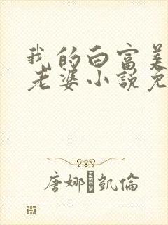 我的白富美总裁老婆小说免费下载