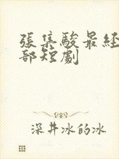 张集骏最经典十部短剧