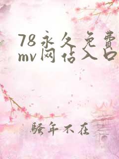 78永久免费看mv网站入口