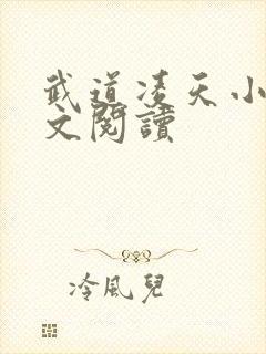 武道凌天小说全文阅读