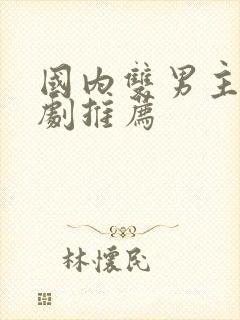 国内双男主电视剧推荐