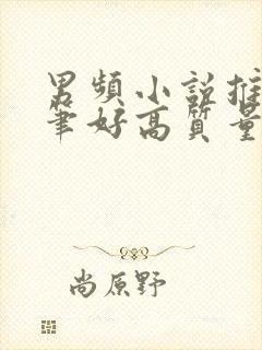 男频小说推荐文笔好高质量