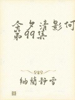 今夕清影何处寻第99集