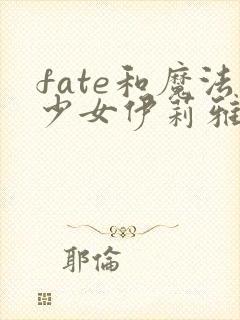 fate和魔法少女伊莉雅什么关系