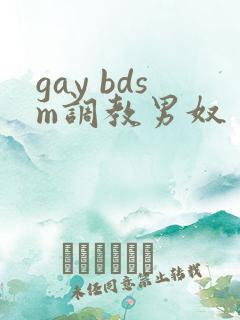 gay bdsm调教男奴