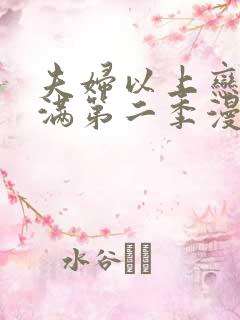 夫妇以上恋人未满第二季漫画