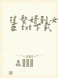 从赘婿到女帝宠臣 txt下载