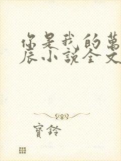 你是我的万千星辰小说全文阅读免费