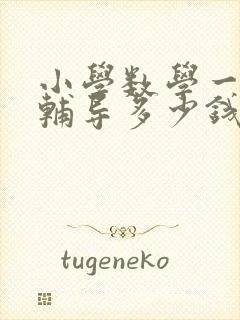 小学数学一对一辅导多少钱一小时