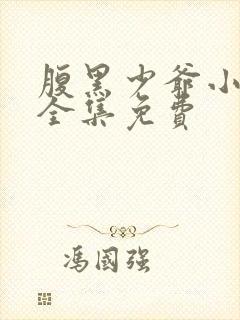 腹黑少爷小甜妻全集免费