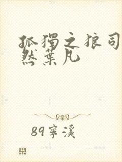 孤独之狼司空嫣然叶凡