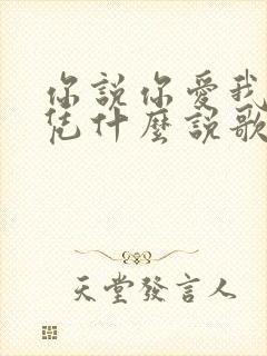 你说你爱我爱我凭什么说歌词