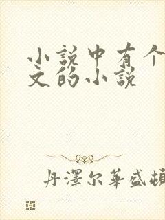 小说中有个叫苏文的小说