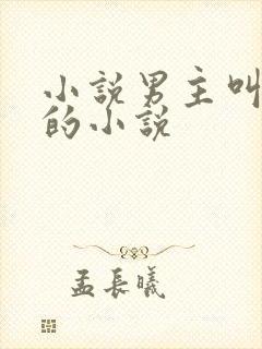 小说男主叫陈铭的小说