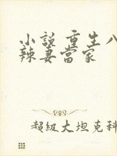 小说 重生八零辣妻当家
