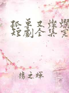 孤单又灿烂的你短剧全集完整版