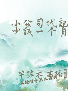 小公司代记账多少钱一个月