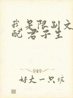 我是限制文的女配 君子生