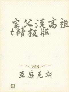 家父汉高祖txt精校版
