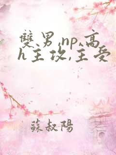 双男,np,高h主攻,主受