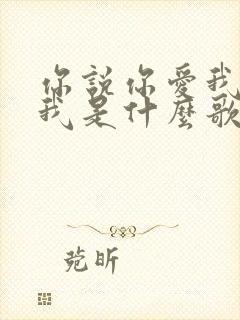 你说你爱我你想我是什么歌