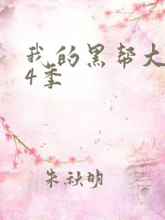 我的黑帮大佬第4季