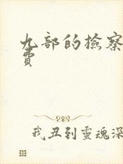 九部的检察官免费