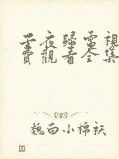 子夜归电视剧免费观看全集高清11