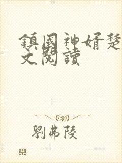 镇国神婿楚尘全文阅读