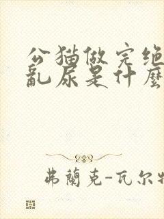 公猫做完绝育还乱尿是什么原因