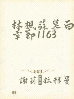 林枫苏慕白最新章节1163