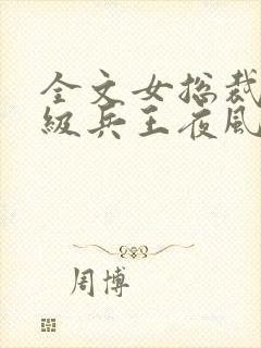全文女总裁的超级兵王夜风武
